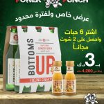(BUY 6PCS BOTTOMS UP GET 2PCS GINGER SHOT FREE