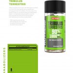 ⁦Tribulus Terrestris⁩ - الصورة ⁦4⁩